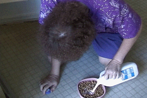 she makes her food on the floor